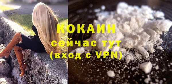 эйфоретик Аркадак